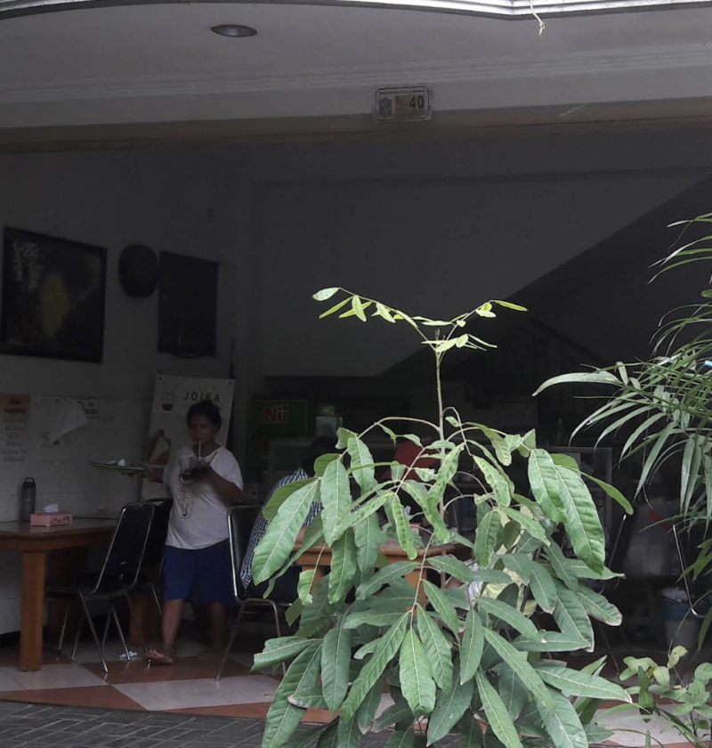 Review Rujak Cingur Achmad Jais